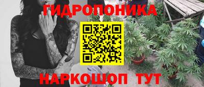 дмт Абакан