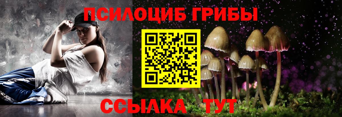 Галлюциногенные грибы GOLDEN TEACHER  Вход с VPN  Галлюциногенные грибы мухоморы  Алейск 