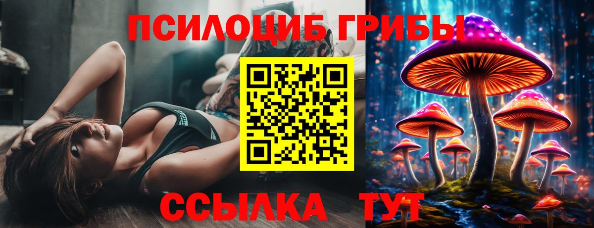 Галлюциногенные грибы Cubensis Алейск